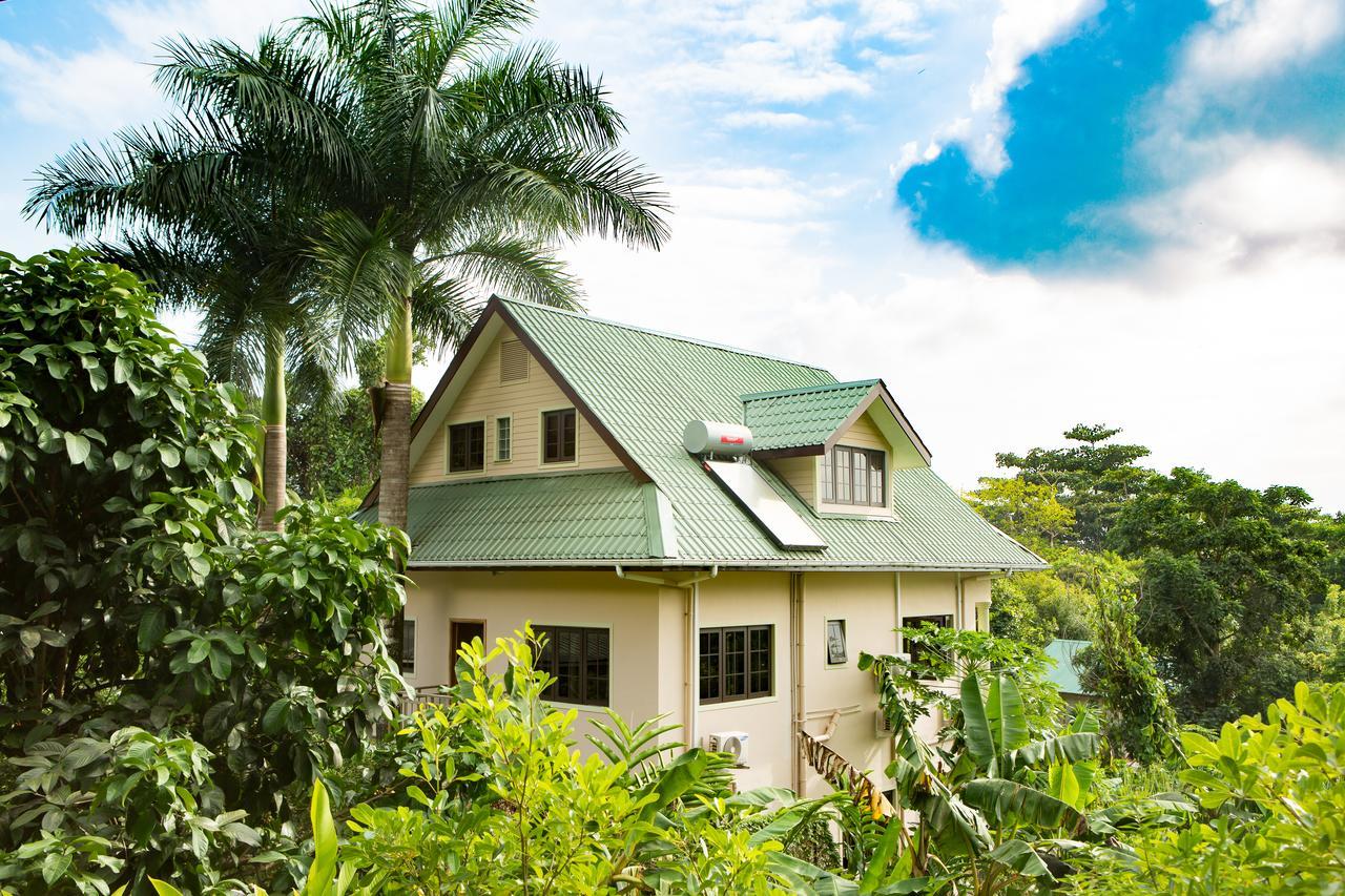 Belle Montagne Holiday Apartments Grand Anse  Bagian luar foto